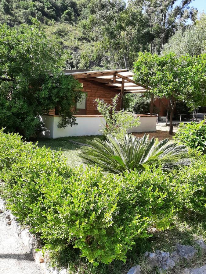 Residence Eden Marina di Camerota Exterior photo